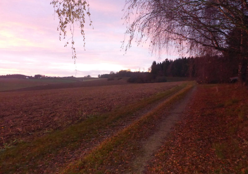 Herbststimmung am Kreithof