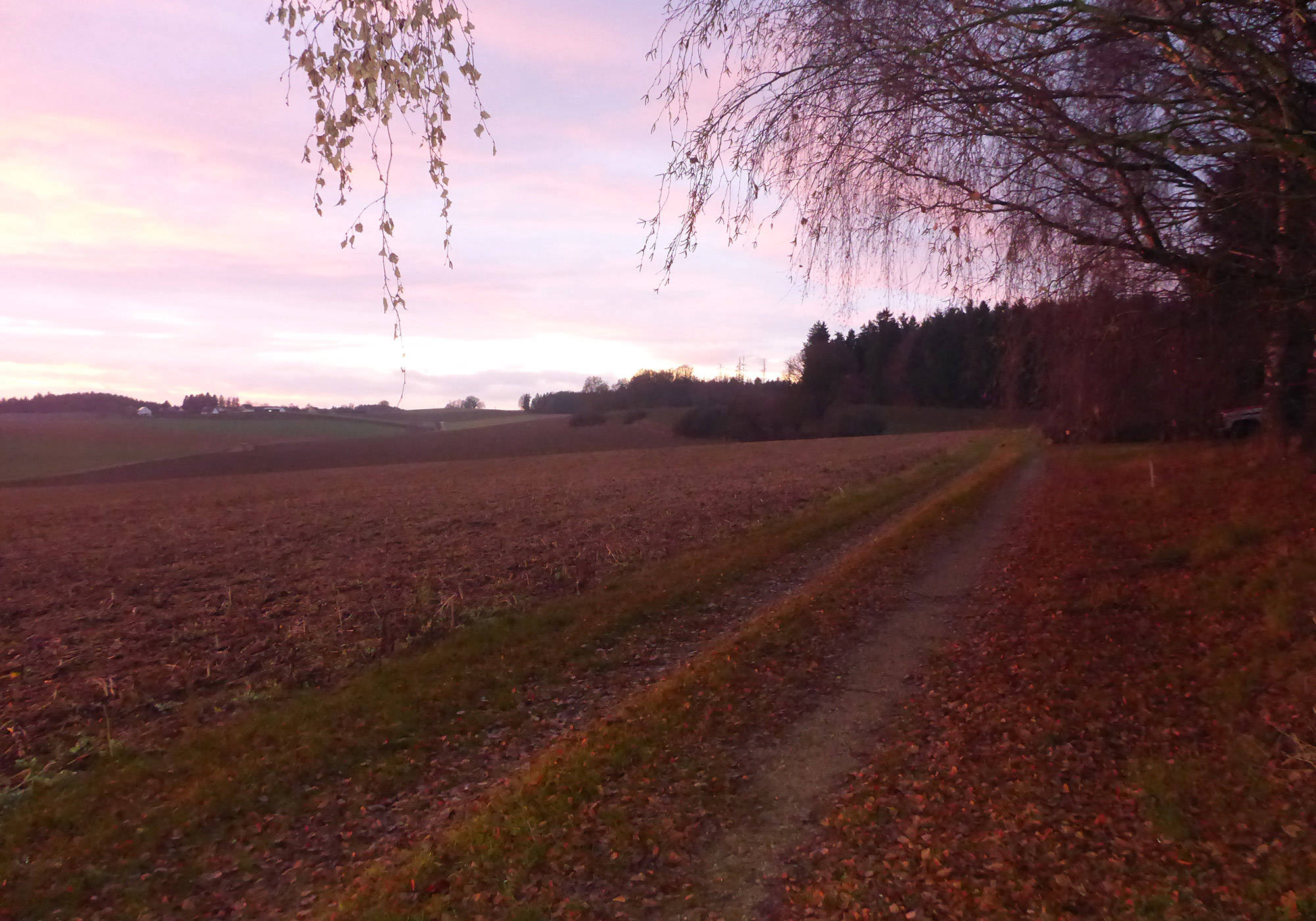 Herbststimmung am Kreithof